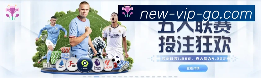 奖项4